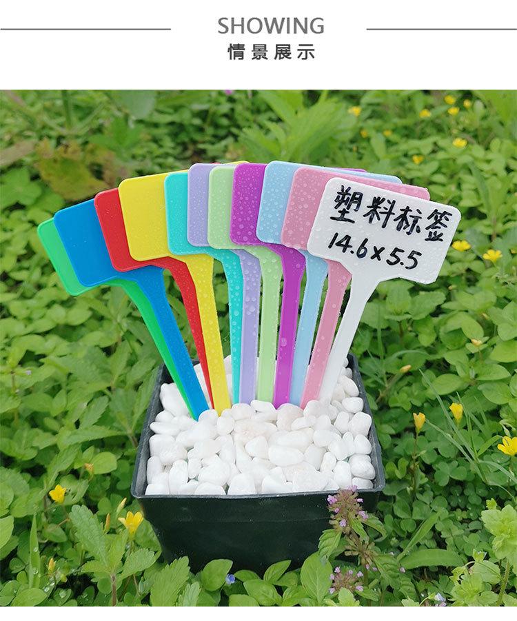 未标题-1_09.jpg
