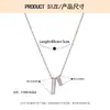 Colar Irregular com Design Único, Colar de Aço Titânio de Nicho para Mulheres, Não Desbota, Não Oxida, Colar de Luxo Leve, Corrente para Clavícula