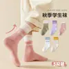 Nuevo Artículo Popular Calcetines para Niños Otoño e Invierno Niñas Patrón de Frutas de Dibujos Animados Calcetines de Media Pantorrilla Calcetines Dulces y Versátiles para Niñas