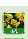 日用香精系列明细_04.jpg