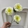 Plantas Verdes Artificiais para Casamento, Grama Aspargo Verde Estilo Floresta, Flores Artificiais Verdes, Materiais Florais Artificiais para Casamento, Série de Decoração para Salão de Casamento