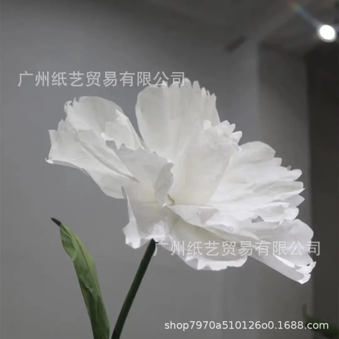 微信图片_20221013230258_副本