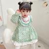 Otoño Nuevo Vestido Floral para Niñas Vestido de Princesa Lindo para Bebé Moda Moderna Lindo Moda 2337