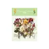Pegatinas de Plantas de Muestra Flores Artísticas Florales Retro Estilo Ins Frescas Decoración para Diario DIY Pegatinas de Etiquetas Impermeables