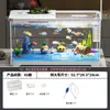 Tanque de Peces Ecológico Seleccionado Cuidadosamente para el Hogar, Escritorio, Paisajismo, Tanque de Corriente Auto-Circulante, Tanque de Plástico para Tortugas de Oficina