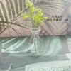 Vaso de Vidro Mini Diâmetro Flutuante Flor Seca Estilo Europeu Produtos Arranjo de Flores Recipiente para Plantas Hidropônicas Garrafa