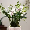 Novo Produto Absorvedor de Formaldeído, Plantas Hidropônicas Coloridas Resistentes à Água Quente, Orquídeas Dendrobium Fortemente Perfumadas, Florais de Orquídea Tinta Purificadores de Ar de Interior