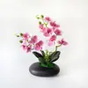 Película Impresa en 3D Nueva 12 Flores Phalaenopsis Bonsái Flor Fábrica Suministro Directo Moda Decoración del Hogar