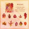 Paquete de pegatinas impermeables para manualidades de mascotas Yuezhen, especial para Fallleaf Zhiqiu, para manualidades, papel, pegatinas para niños