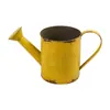Jarrón Antiguo Jarrón Vintage Maceta Flores Secas Estilo Europeo Maceta de Hierro Vintage Cubo de Piso Olla de Hierro Jarrón de Hierro