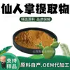 Polvo de Extracto de Cactus 10:1 Materia Prima Grado Alimenticio Cuidado de la Salud Extracto de Planta Polvo Soluble en Agua Procesamiento Personalización