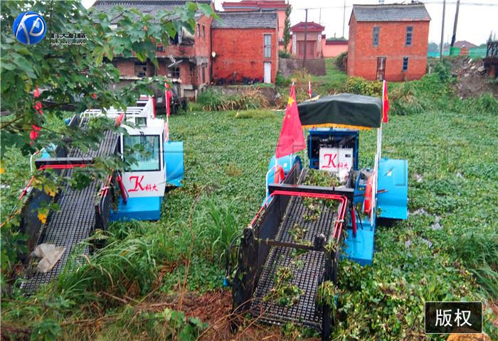 16江苏泰州水葫芦打捞船 (5).jpg