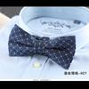 Traje formal para hombre casual británico coreano poliéster doble corbata de moño fabricantes de corbatas de moño de moda en stock