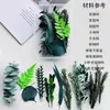Folhas Perenes, Folhas Secas, Folhas de Buxo, Folhas de Eucalipto, Folhas de Samambaia, Folhas Mistas, Materiais para Porta-Retrato com Espécimes Artesanais DIY
