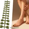 Tiras de Uñas de Pies de Alto Brillo Más Vendidas de Amazon, Paquete de 24 Piezas, Parches para Uñas de Color Sólido, Sin Sellador, Uñas Postizas