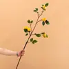 Planta Verde Simulada Ramas Largas con Hojas Ramas de Limón Fruta Decoraciones para Ventana Interior Fruta Floral Sala de Estar Paisajismo de Ingeniería