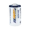 Ramway Ruiyi Er14250 Delta Programador Etcplc Equipo de Control Industrial Batería de Litio de 3.6V Carga
