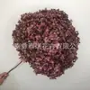 Flor Preservada Haste Única Hortênsia Anna Anna Folha Pequena Bella 40 Cores Personalizado Atacado Presente Dia dos Professores