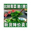 Novedad Peso neto 500g Papas Fritas de Espárragos Verduras Deshidratadas Verduras de Oliva Verduras Secas Bok Choy Deshidratado Colinabo Verduras Secas
