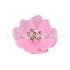 2025 Nuevos Zuecos Accesorios Hebilla Zapato Floral Tela Flor Estilo Hebilla de Zapato Centro Comercial Mismo Estilo Accesorios de Flores Venta al por Mayor