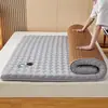 Colchón de doble uso para invierno y verano, cojín suave para dormitorios de estudiantes, colchón plegable, tatami engrosado, tapete refrescante de ratán de hielo, protector de colchón