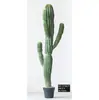 Cactus Pilares de Dragón Simulados Cactus Parásito Planta del Desierto Marroquí Decoración Suave para Paisajismo Modelo Decoración de Proyectos