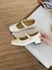 Zapatos Mary Jane para Mujer con Correa de Velcro Estilo Francés 2026 Nuevos Zapatos Cómodos de Tacón Alto