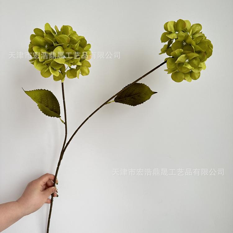 微信图片_2023032116361410_副本