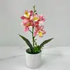 4 Plantas Artificiais de Orquídea Cymbidium em Vasos para Decoração de Estudo e Sala de Estar, Bonsai de Flor Artificial de Plástico para Arranjo de Quarto de Hotel