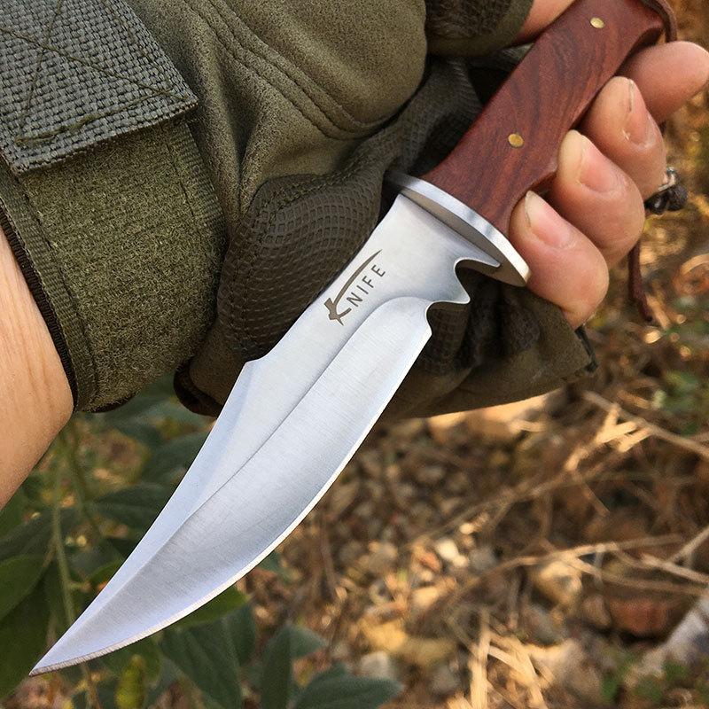 微信图片_20240106205422