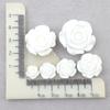 Rosa de Resina Galvanizada DIY Pegamento Crema Carcasa para Teléfono Móvil Agujero Zapato DIY Flor Accesorios para el Cabello Diadema Clip de Borde Paquete de Material