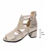 Sandalias de tacón alto de comercio exterior para mujer, nuevo estilo de verano 2026 sandalias peep-toe, tacones gruesos para mujer, moda europea y americana, zapatos de tacón alto transfronterizos para mujer