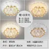 Nueva luz simple moderna para pasillo, luz de recibidor, luz empotrada para techo, luz de balcón con forma floral, luz de techo
