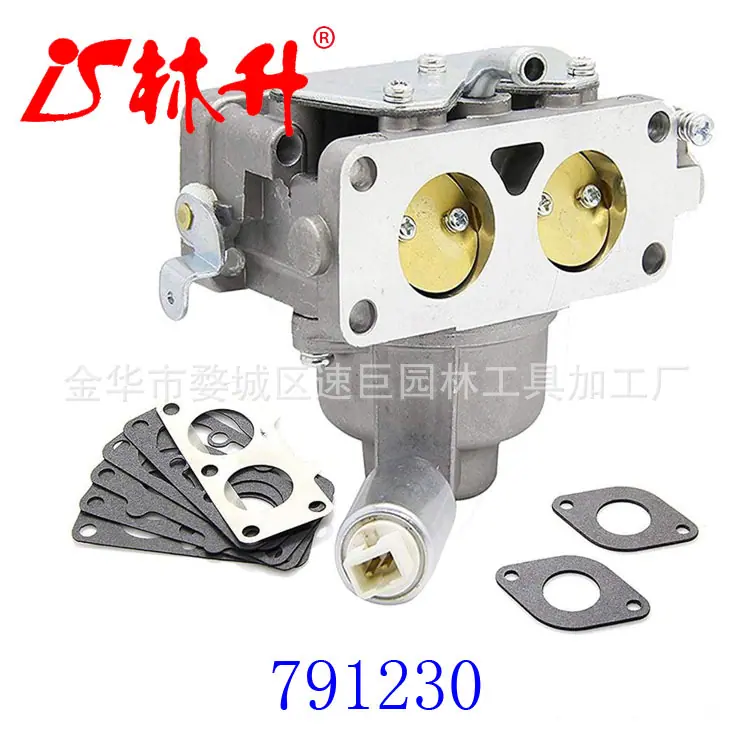 791230 化油器带垫片套件 - 与 Briggs &am