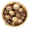 Cogumelos shiitake secos, qualidade especial, cogumelos pequenos comerciais a granel, shiitake, cogumelos de inverno, cogumelos flor, peso líquido