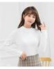 Camiseta interior de terciopelo microbonita de cuello medio, agradable a la piel, para mujer, otoño e invierno, 2024, nueva, de manga larga, chaqueta cálida