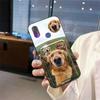 Adecuado para Funda de Teléfono Móvil Cooper, Carcasa Suave para Selfies, Tarjetero Creativo para Parejas, Nuevo Gato de Enfriamiento Perro Personalizado de Moda