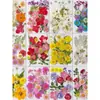 Paquete de Materiales DIY de Flores Secas Flores Prensadas Hechas a Mano Flores Conservadas Marcadores de Libros de Flores Prensadas Hojas de Árbol Real Plantas Pegatinas de Resina Maquillaje Facial