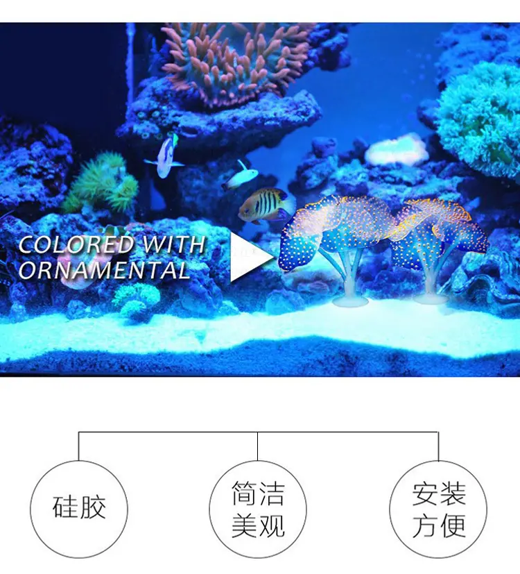 750详情_10