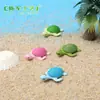 Micropaisaje de musgo, material de bricolaje, joyería ecológica embotellada, tortuga de cuatro colores, decoración con vista al mar