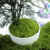 Musgo de Simulación Seda DIY Césped Artificial Verde Césped Artificial Decoración de Plantas Verdes Paisajismo Superficie de Bonsái Cubierta Musgo Falso Filamentos