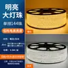 Tiras de luces LED, adecuadas para salas de estar y uso en exteriores, súper brillantes, impermeables, con un efecto de iluminación dinámico, ideales para crear ambiente, exhibiciones exteriores e iluminación general, luz blanca, 220V, para uso doméstico