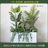 Caja de flores decoración flores y plantas arreglo floral producto terminado adorno de planta verde venta de restaurante oficina mampara canaleta de flores paisajismo biónico