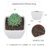 Más de 100 Tipos de Combinaciones de Plantas Suculentas Artificiales en Maceta Mini, Ventas Transfronterizas Populares, Estilo Sencillo Decoración del Hogar Flores Artificiales y Plantas Verdes, Directo de la Fábrica Fuente