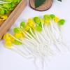 Modelo de Brotes de Frijol Vegetal Artificial de PVC Brotes de Frijol Verdes Creativos Brotes de Soja Colgante de Bolsa Alimento Falso Juguete de Brotes Pequeños