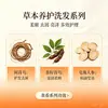 Champú Hidratante y Suavizante Anticaspa Caitao Semilla de Té Polygonum Multiflorum, Champú Hidratante y Suavizante Antipicazón Unisex
