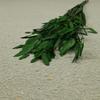 Flor mágica hierba de la pequeña esperanza eterna ramo flor real Natural Alto sentido ins estilo nórdico sala de estar decoración jarrón Flor eterna