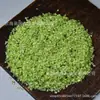 Fragmentos de Peridoto Cristal Verde Pequeño Piedra Desmagnetizadora Botella de los Deseos Pegatina Pintura DIY Fragmentos de Peridoto