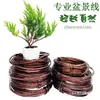 Modelagem com Arame de Alumínio para Bonsai, Arame de Alumínio, Arame Esmaltado, Modelagem de Flores, Ferramentas de Modelagem com Arame de Alumínio, Modelagem de Arame de Alumínio para Amarração em Jardinagem