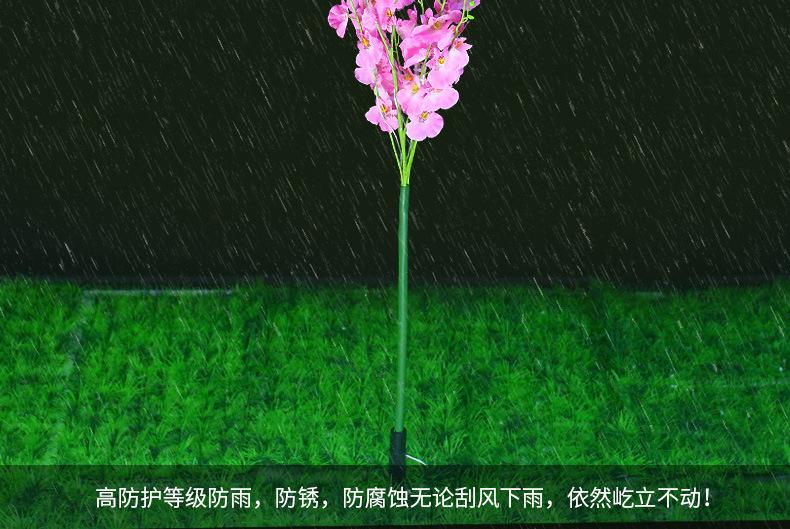 详情_01_04.jpg